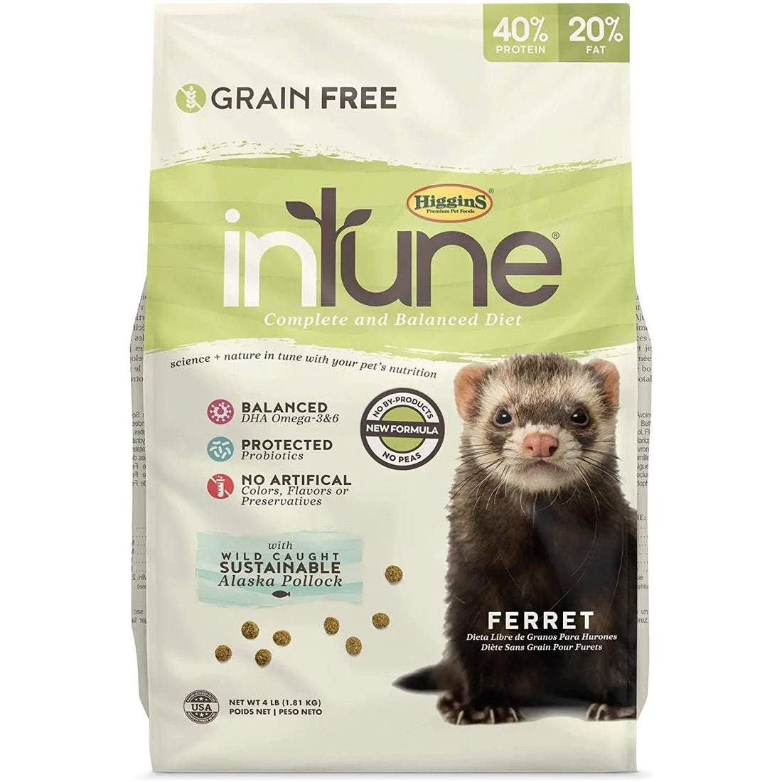 Things Every Ferret Needs