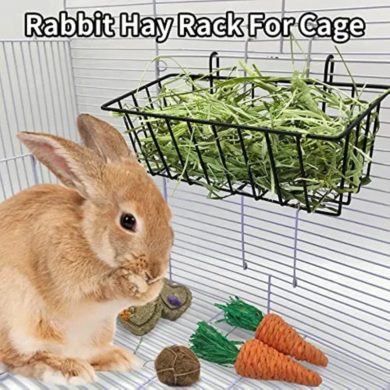 All About Rabbits and What They Need