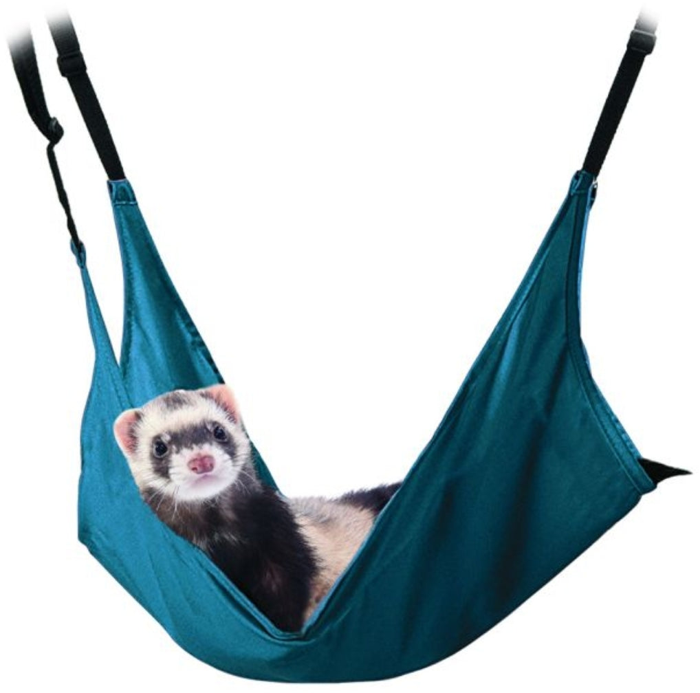 Ferrets