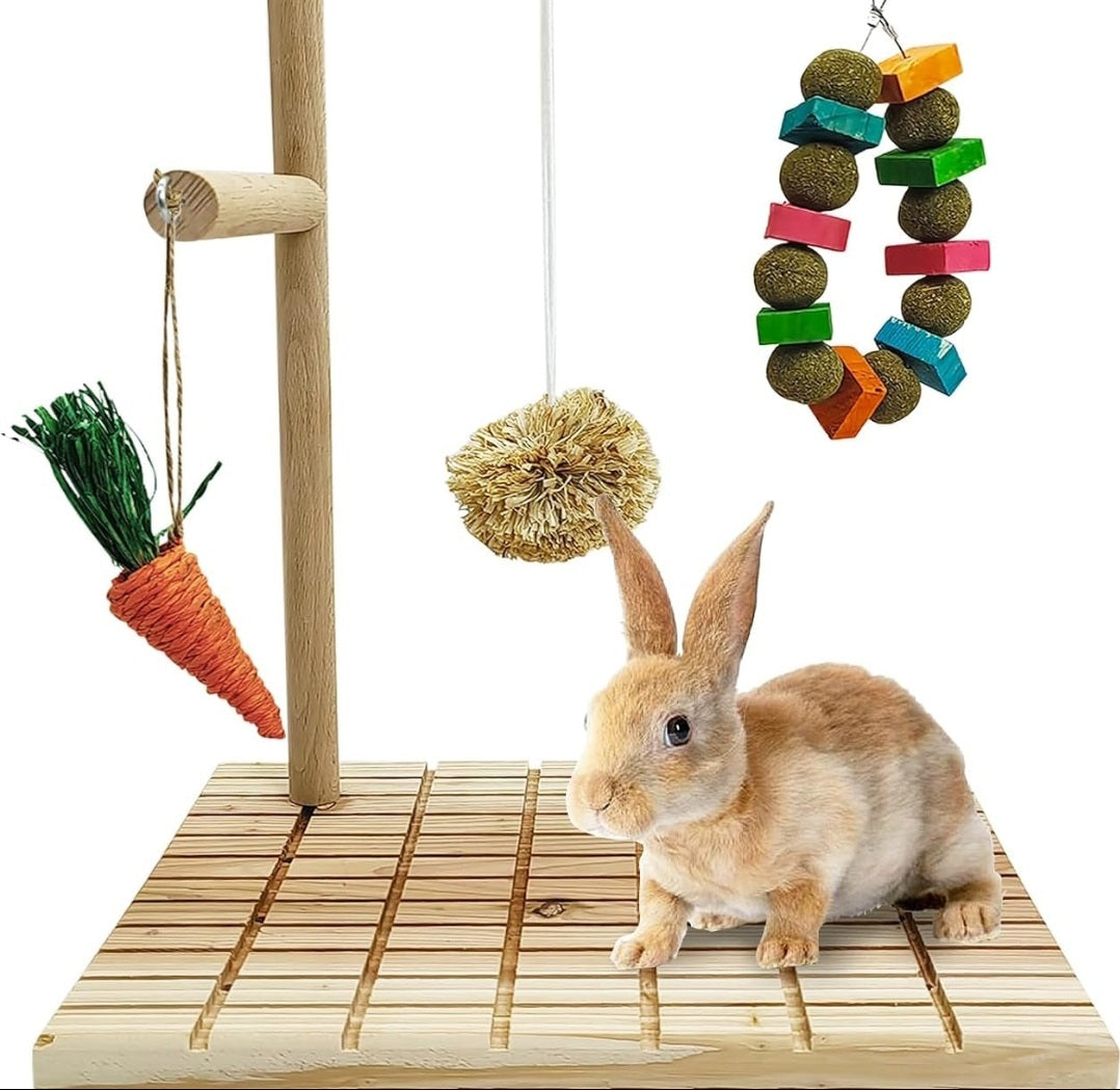 Rabbits