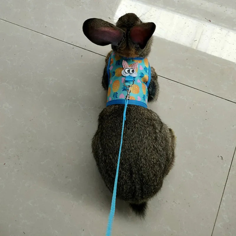 Small Animal Vest Harness & Leash Set for Rabbits, Kittens & Guinea Pigs – Adjustable Breathable Cotton, 3 Sizes (S/M/L)