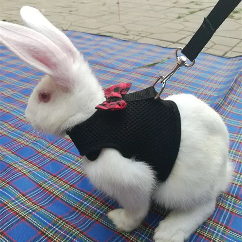 Small Animal Vest Harness & Leash Set for Rabbits, Kittens & Guinea Pigs – Adjustable Breathable Cotton, 3 Sizes (S/M/L)