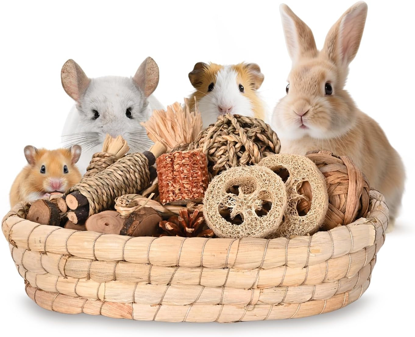 Rabbit Chew Toys 31PCS Natural Small Pet Toys Teeth Grinding Set