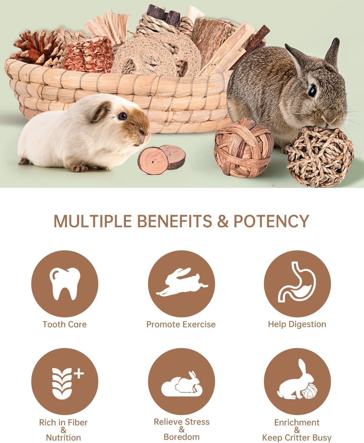 Rabbit Chew Toys 31PCS Natural Small Pet Toys Teeth Grinding Set