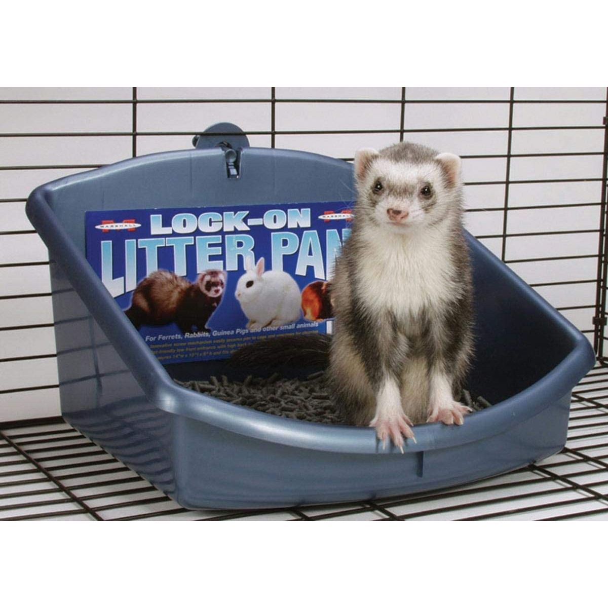 Marshall Lock-On Corner Litter Pan Ultimate Small Animal Bathroom Solution